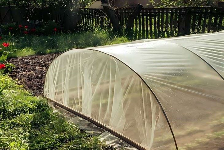 Transparent Plastic Film